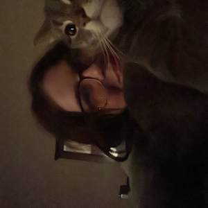 Photo of jaida