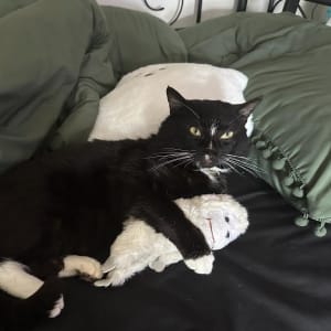 Photo of Abigail