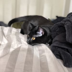 Photo of Noa