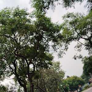 Photo of Nobuhle
