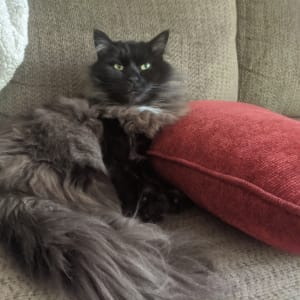 Photo of Emily