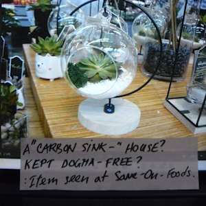 Miss Renee K. Taylor-BA-French