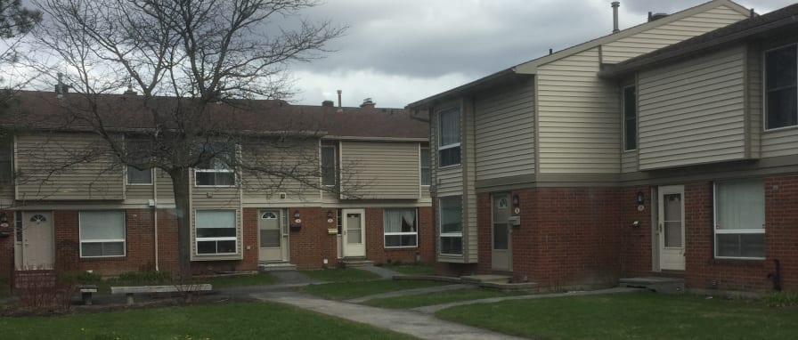Houses for rent pets allowed discount near me