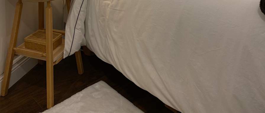 Photo of Old Ottawa South's room