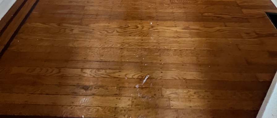Photo of Tanisha's room