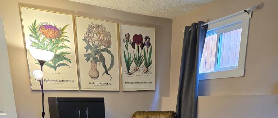 Photo of Janalee's room