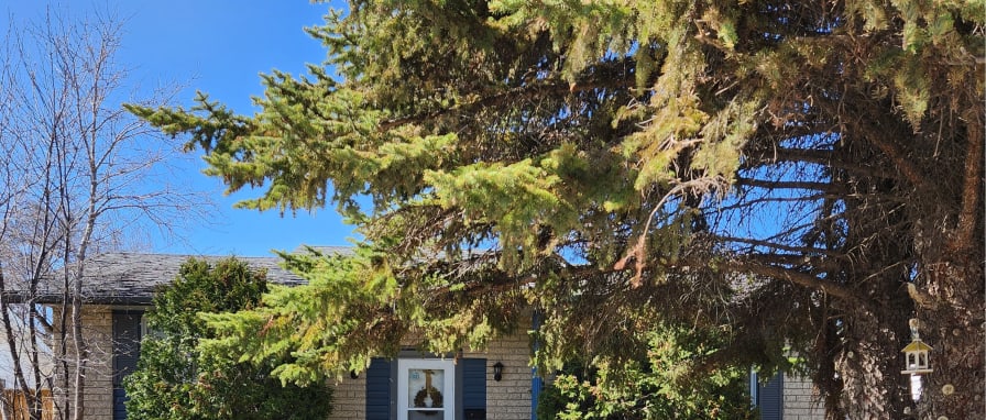 Photo of Brian's room