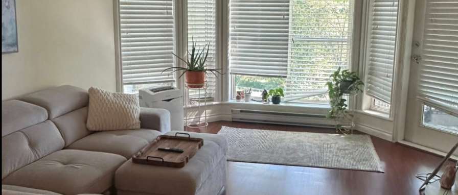 Rasa Petronis's room