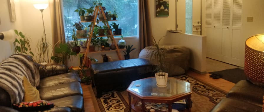 Photo of Kyle's room
