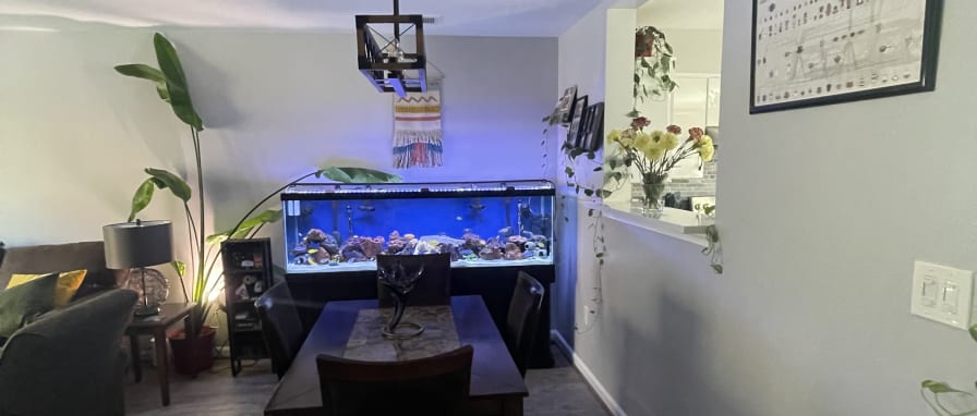 Photo of Christian's room