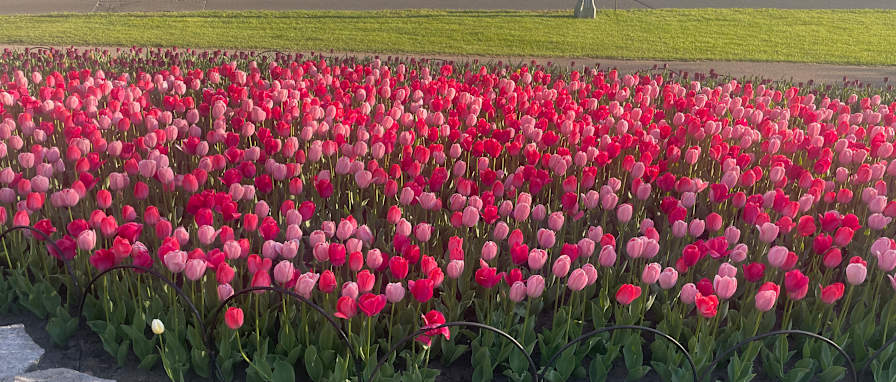Photo of Gerard's room