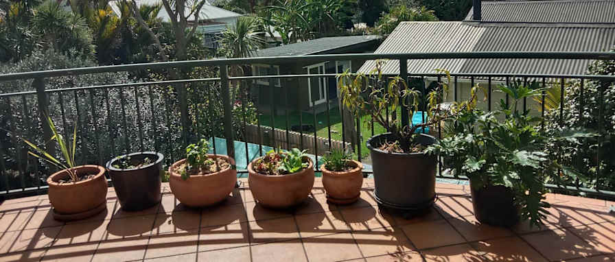 Photo of Roo's room