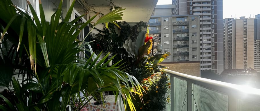 Photo of Stuart's room