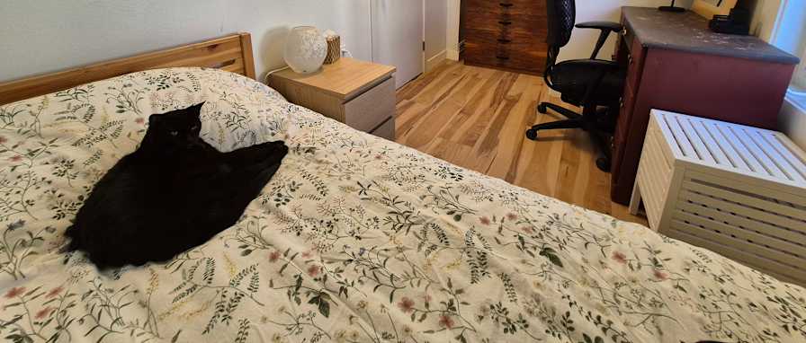 Photo of Jordie's room