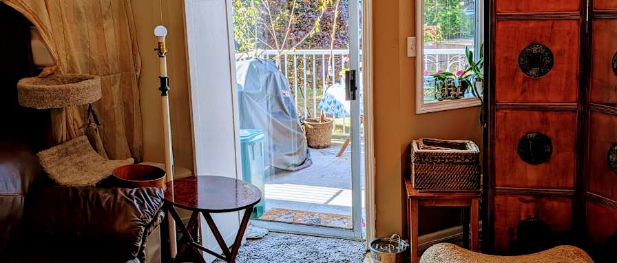 Photo of Lily's room