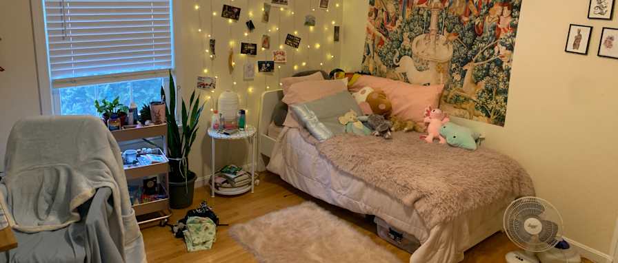 Photo of Nik's room