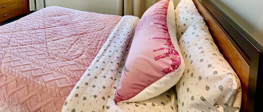 Photo of Lala's room