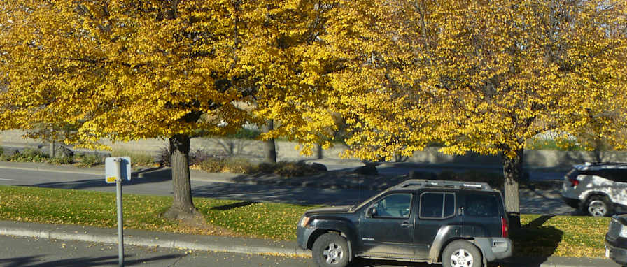 Miss Renee K. Taylor-BA-French's room