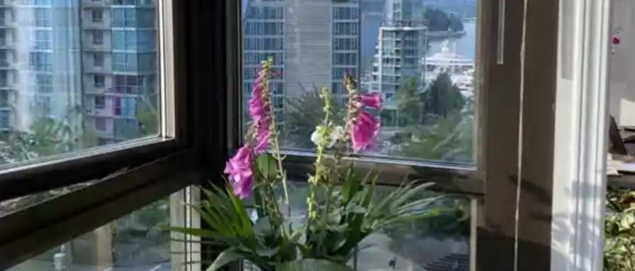 Photo of Priya's room