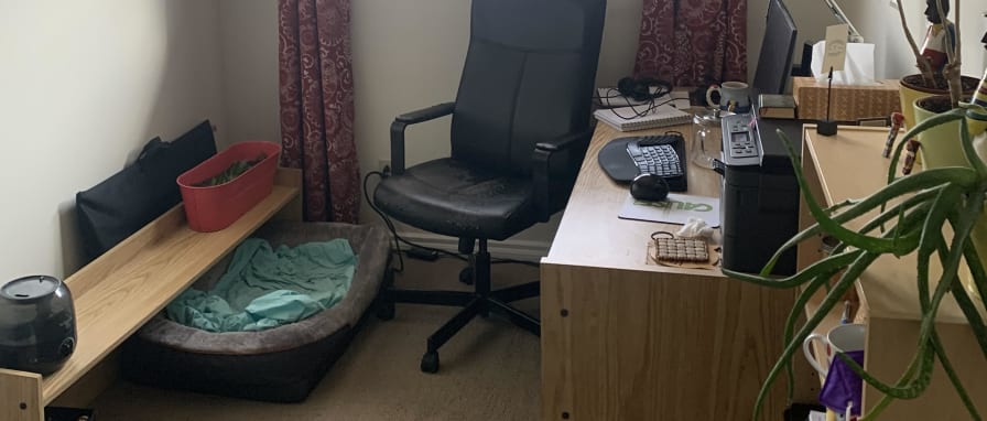 Photo of Sean's room