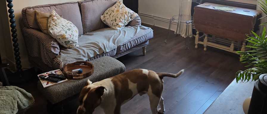 Photo of Kj's room