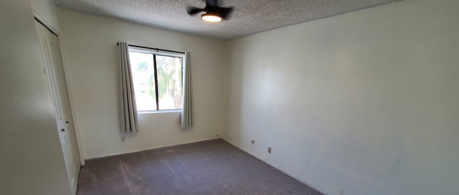 Apartments for rent near me dogs allowed shop