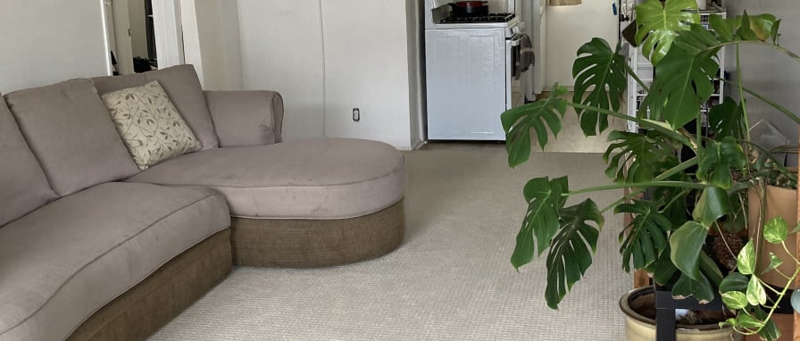 Photo of Lucas's room