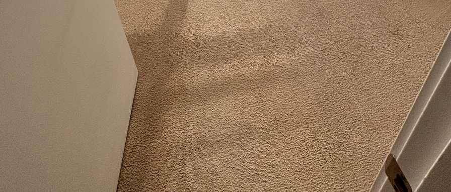 Photo of Patience's room