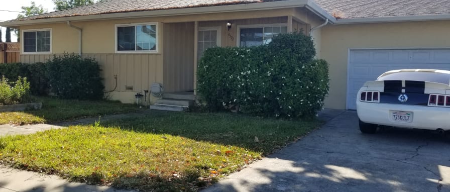 House for rent dogs allowed shop near me
