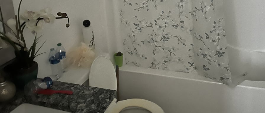 Photo of Dimitry's room