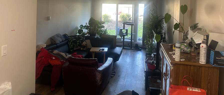 Photo of Robert's room