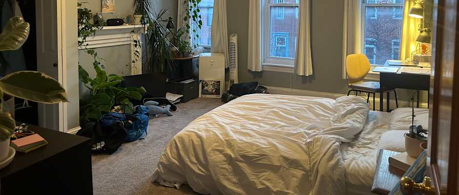 Photo of Federal Hill room for rent's room