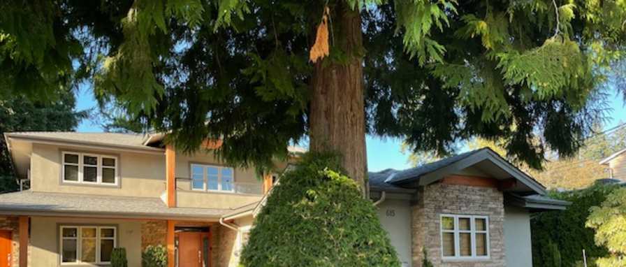 Photo of Jolanta Morawski's room