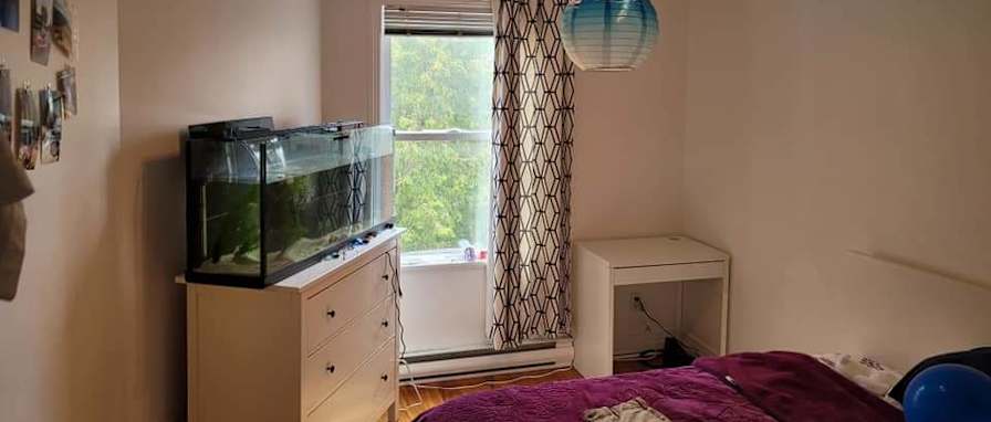 Photo of Malek's room