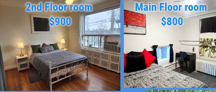 Photo of Jasmin's room