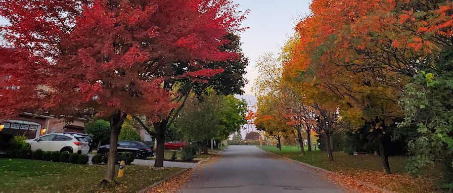 Photo of KEVIN's room