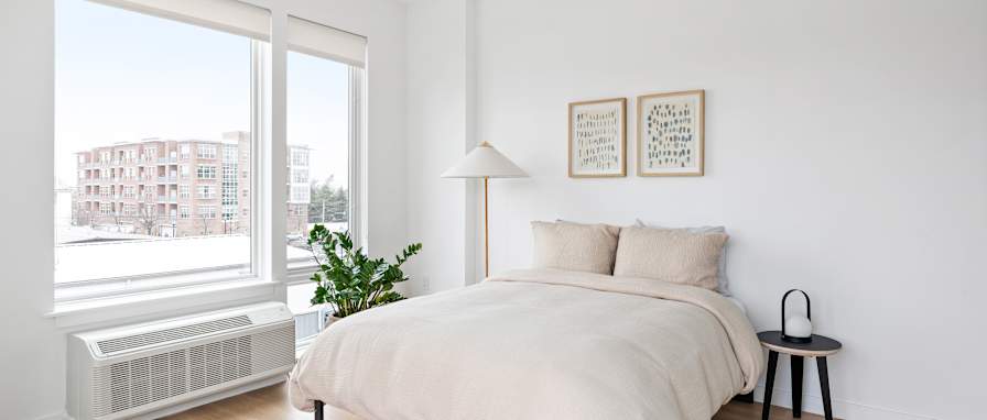 Photo of Benjamin Pasinkoff's room