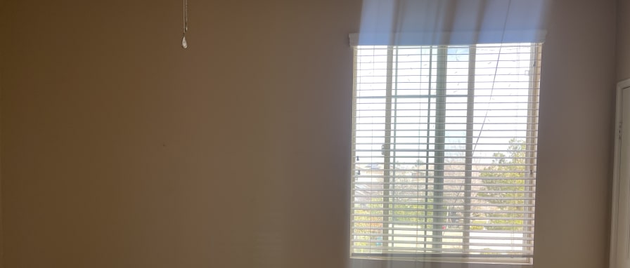 Photo of Roni's room