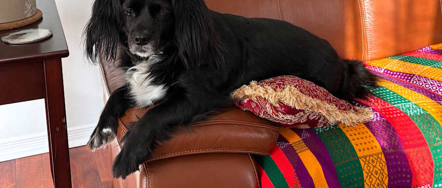 Veronica Keaney's room