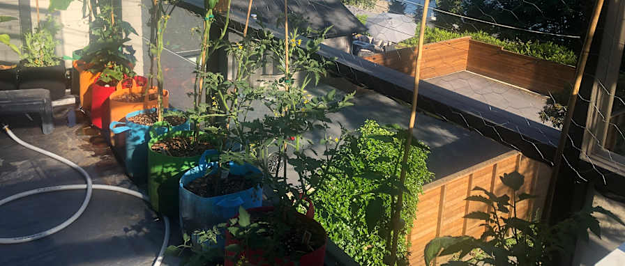 Photo of Sarah's room