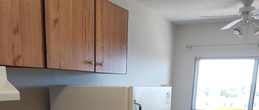 Photo of Erika's room