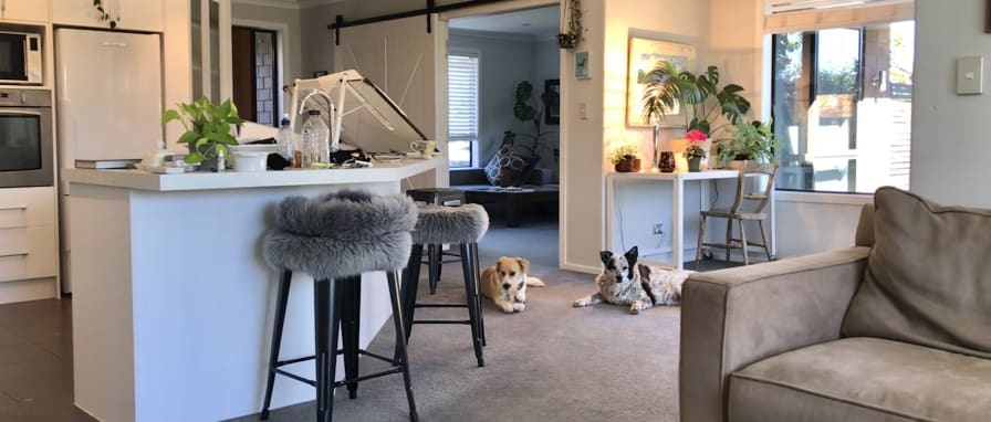 Photo of Deb's room