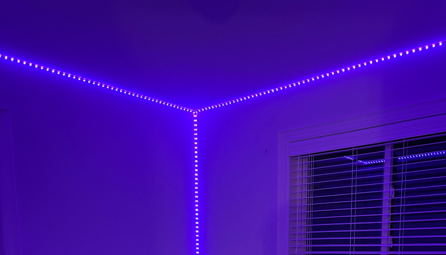 Photo of Yoshita Kumar's room