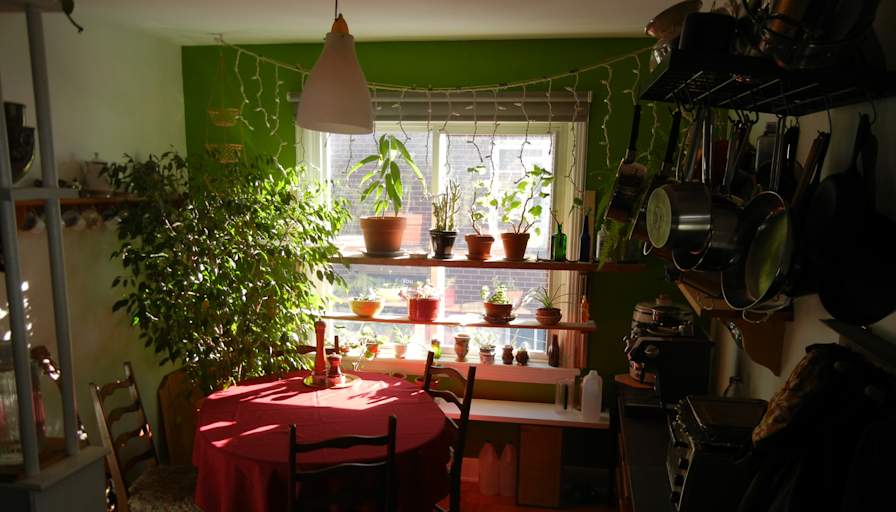 Experimental Farm's room