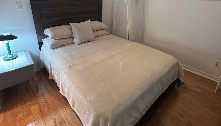 Stephanie McNeil's room