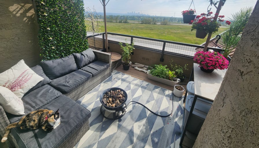 Lauren Vanderveen's room