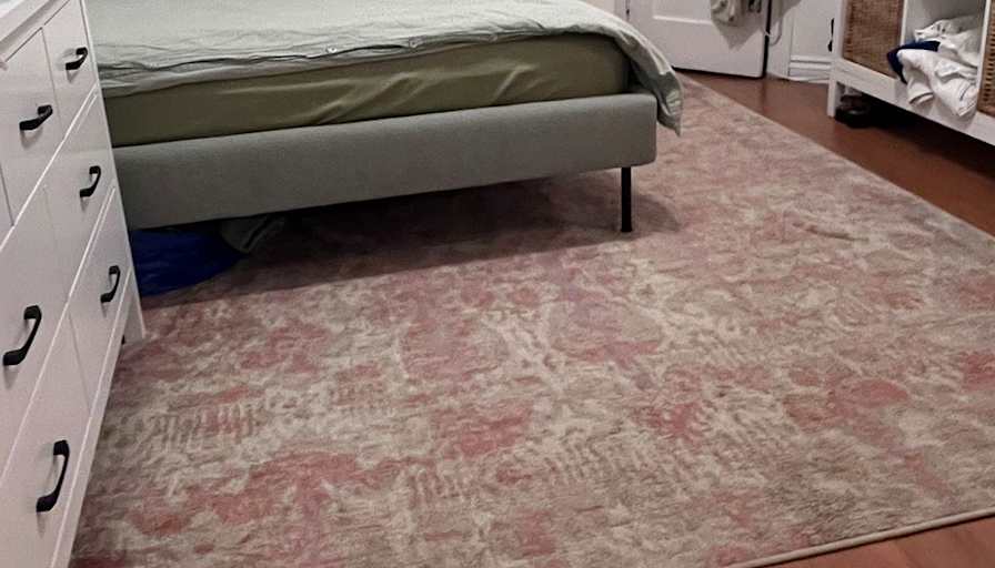 Holly Clausius's room