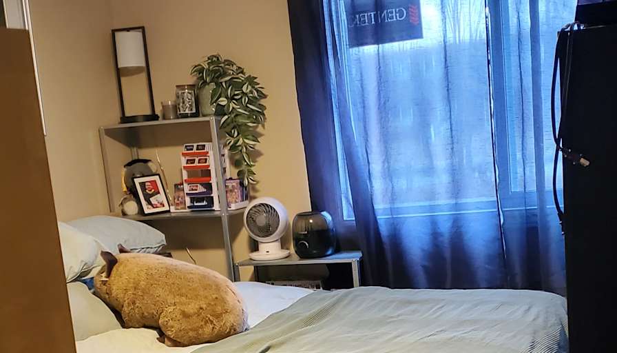 Photo of P & X's room