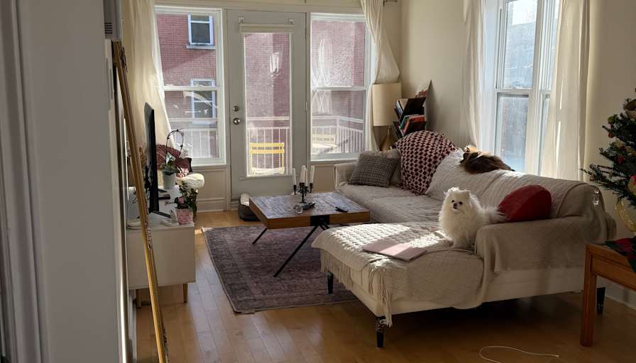 Photo of Nihel's room