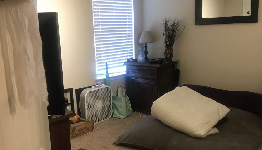 Photo of Dannielle 's room